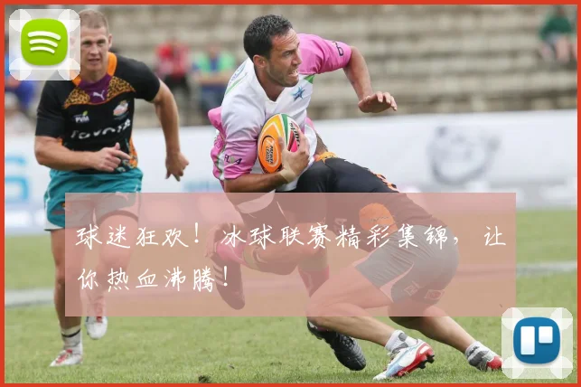 球迷狂欢!冰球联赛精彩集锦,让你热血沸腾!